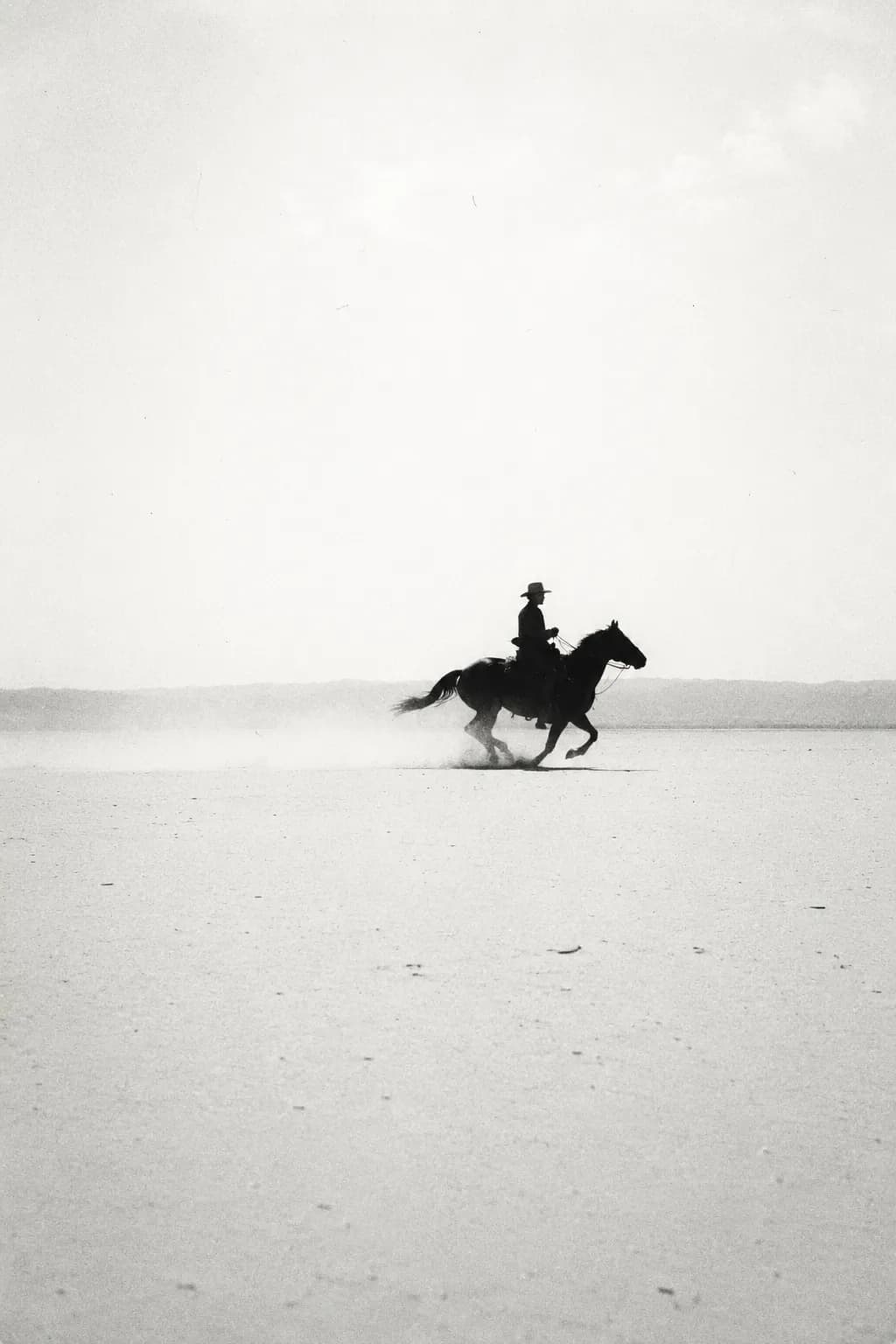 Lone Rider