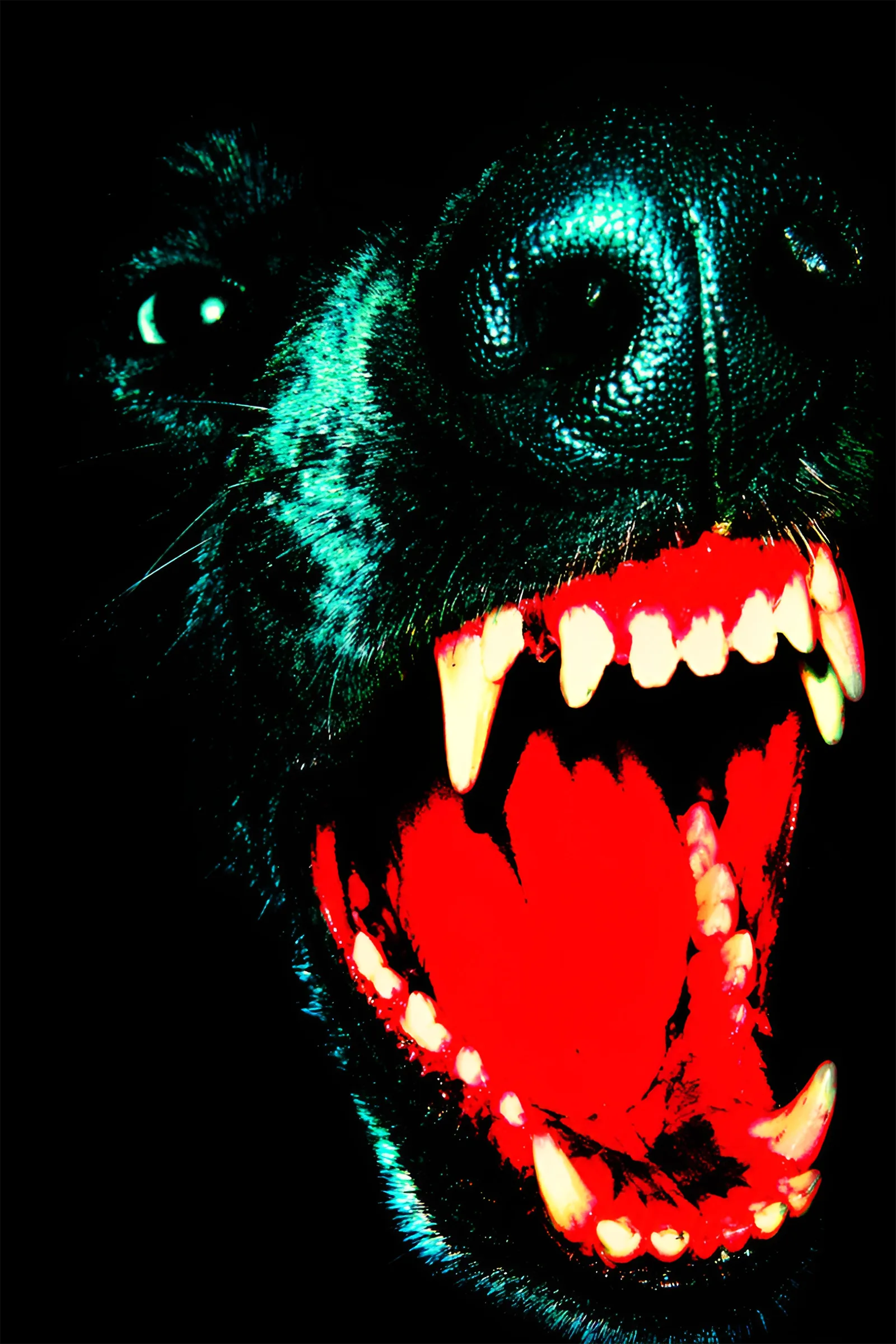 Night Dog art print